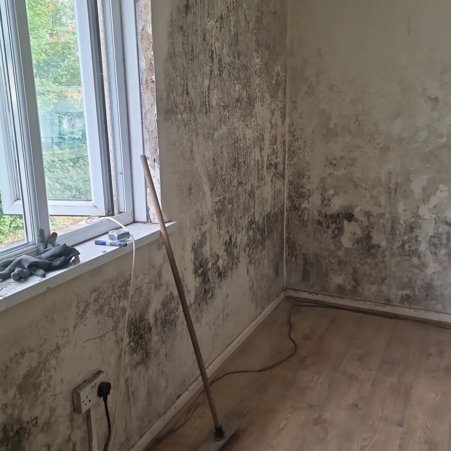 Mould Treatment solutions